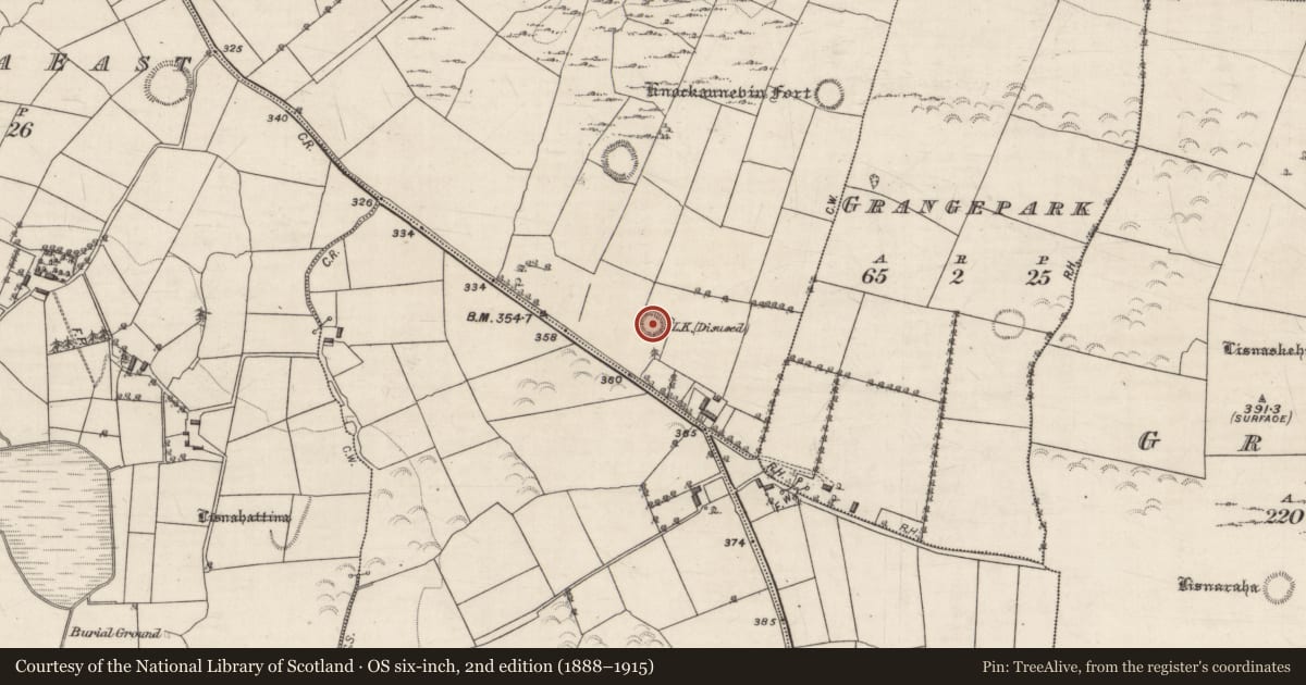 Ordnance Survey six-inch map, 2nd edition (1888–1915) covering the location of Ringfort - rath, Curheen, County Galway, with a pin at the register's coordinates