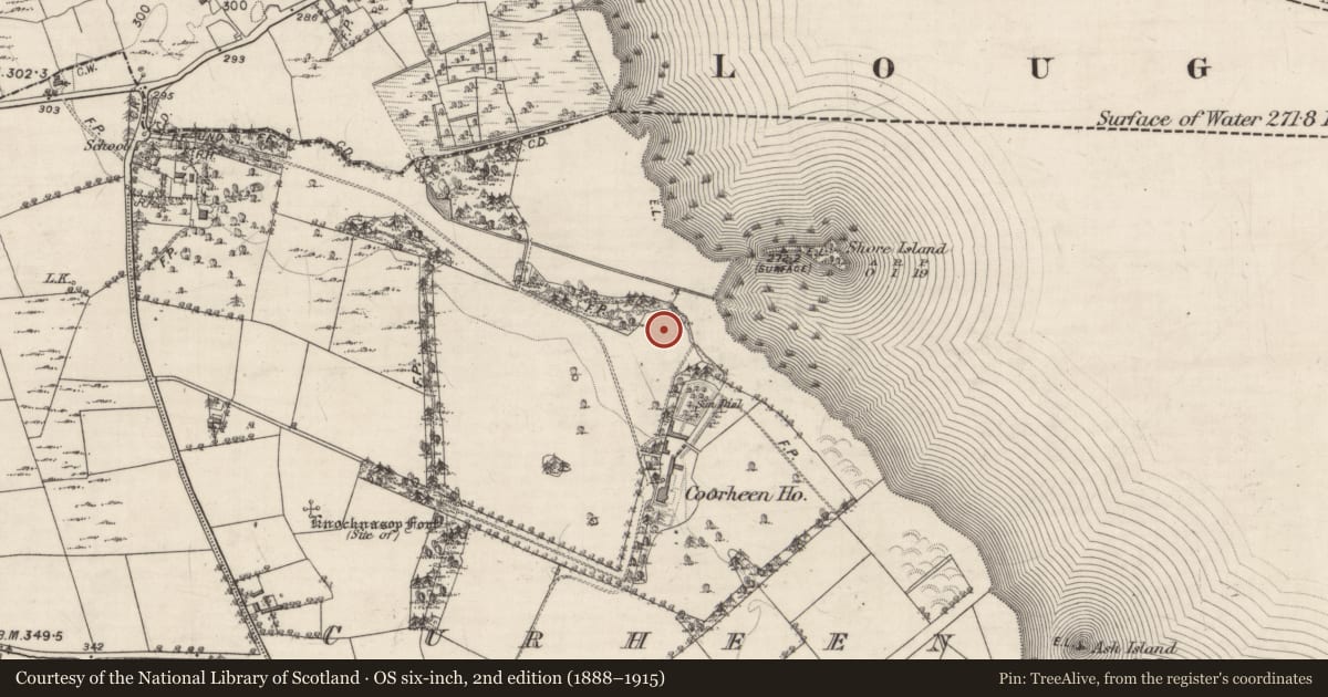 Ordnance Survey six-inch map, 2nd edition (1888–1915) covering the location of Enclosure, Curheen, County Galway, with a pin at the register's coordinates