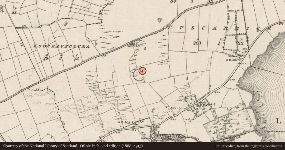 Ordnance Survey six-inch map, 2nd edition (1888–1915) covering the location of Children's burial ground, Cuscarrick, County Galway, with a pin at the register's coordinates
