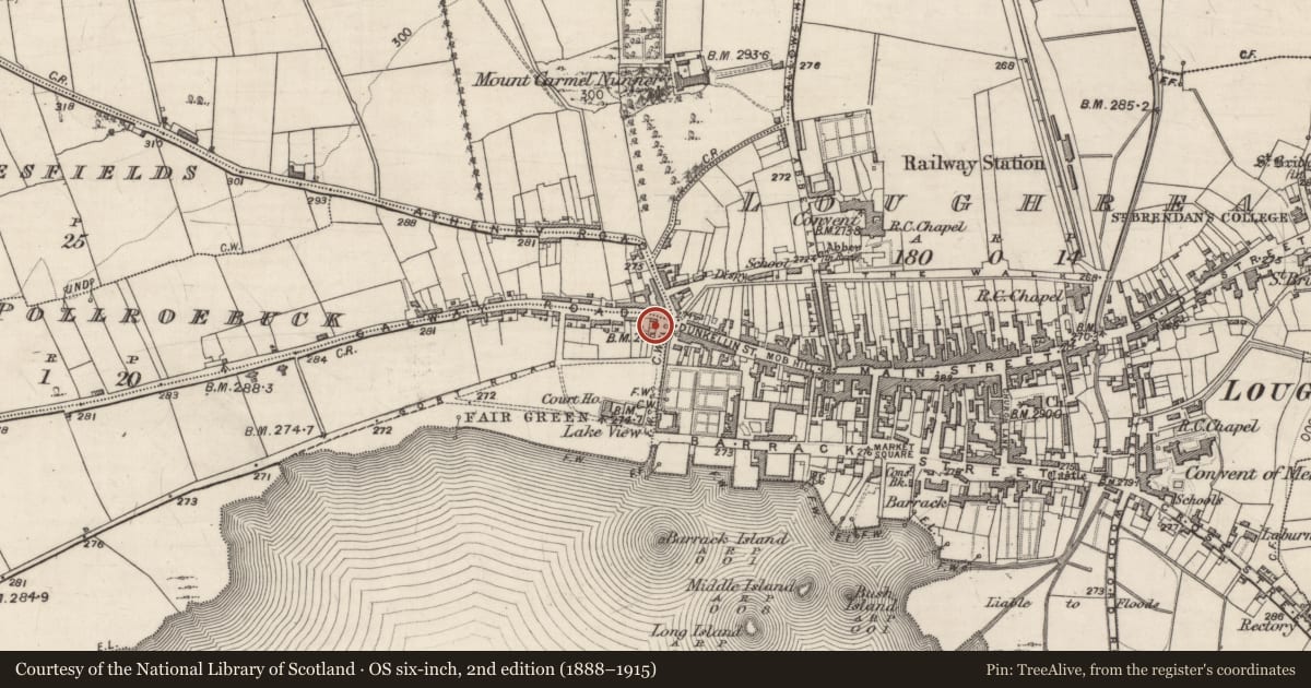 Ordnance Survey six-inch map, 2nd edition (1888–1915) covering the location of Stone head, Cuscarrick, County Galway, with a pin at the register's coordinates