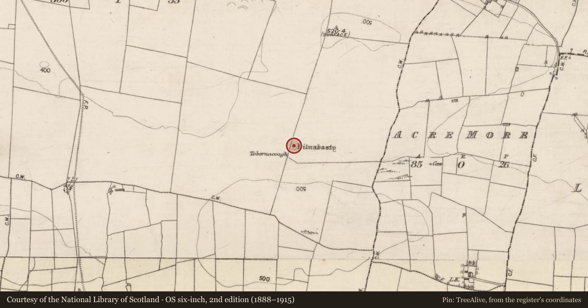Ordnance Survey six-inch map, 2nd edition (1888–1915) covering the location of Children's burial ground, Earlspark, County Galway, with a pin at the register's coordinates