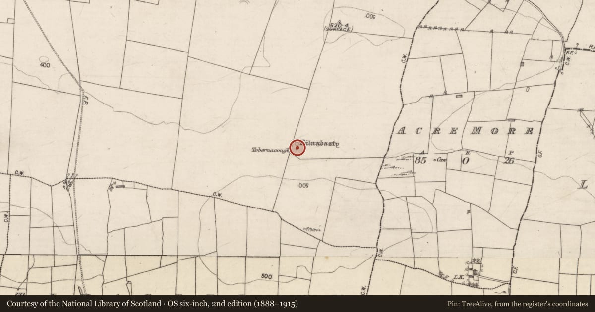 Ordnance Survey six-inch map, 2nd edition (1888–1915) covering the location of Well, Earlspark, County Galway, with a pin at the register's coordinates