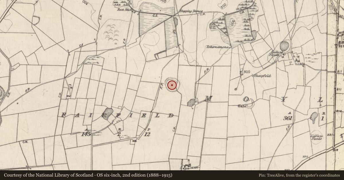 Ordnance Survey six-inch map, 2nd edition (1888–1915) covering the location of Ringfort - rath, Fairfield, Moyleen, County Galway, with a pin at the register's coordinates