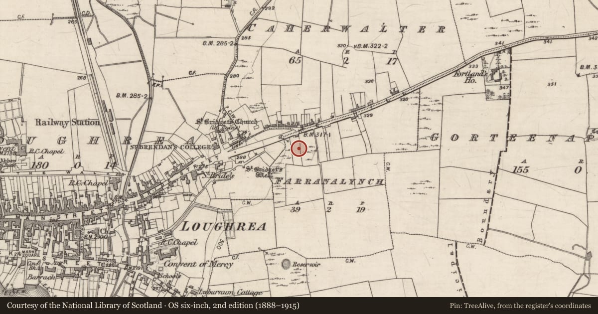 Ordnance Survey six-inch map, 2nd edition (1888–1915) covering the location of Kiln - lime, Farranalynch, County Galway, with a pin at the register's coordinates