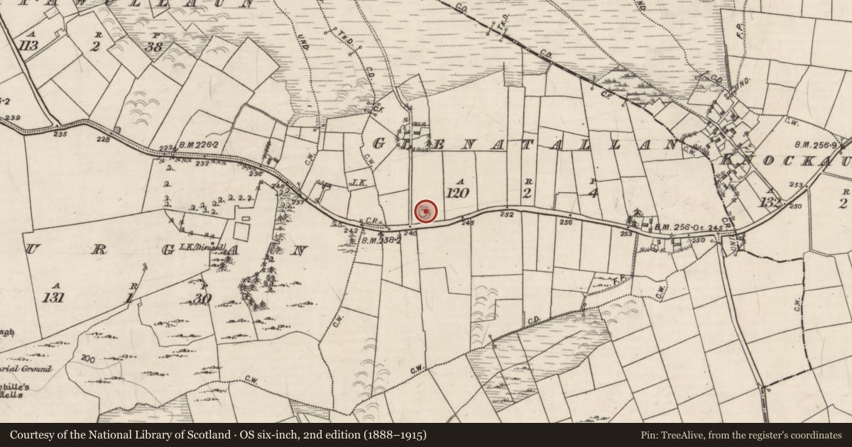 Ordnance Survey six-inch map, 2nd edition (1888–1915) covering the location of Enclosure, Glenatallan, County Galway, with a pin at the register's coordinates