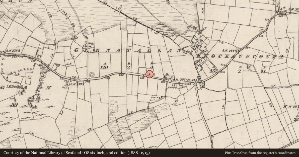 Ordnance Survey six-inch map, 2nd edition (1888–1915) covering the location of Chapel, Glenatallan, County Galway, with a pin at the register's coordinates