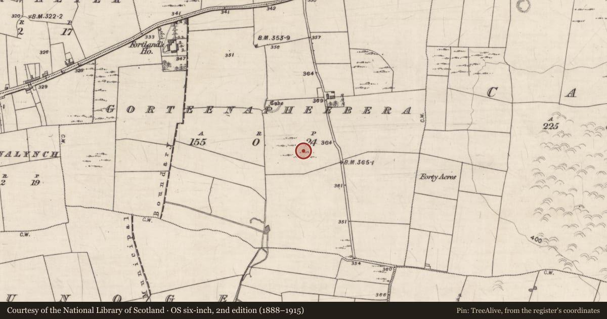 Ordnance Survey six-inch map, 2nd edition (1888–1915) covering the location of Field system, Gorteenapheebera, County Galway, with a pin at the register's coordinates