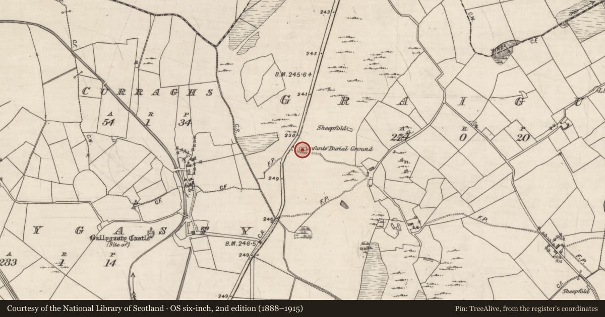 Ordnance Survey six-inch map, 2nd edition (1888–1915) covering the location of Children's burial ground, Graigue, County Galway, with a pin at the register's coordinates