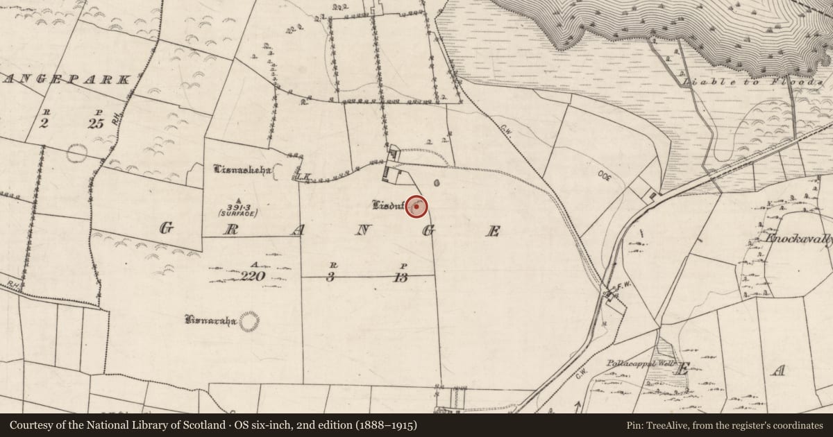 Ordnance Survey six-inch map, 2nd edition (1888–1915) covering the location of Ringfort - rath, Grange, County Galway, with a pin at the register's coordinates