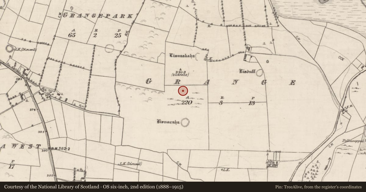 Ordnance Survey six-inch map, 2nd edition (1888–1915) covering the location of Enclosure, Grange, County Galway, with a pin at the register's coordinates