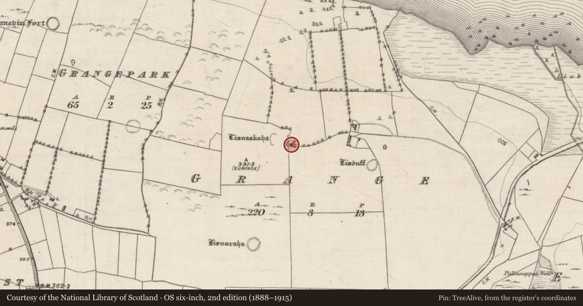 Ordnance Survey six-inch map, 2nd edition (1888–1915) covering the location of Kiln - lime, Grange, County Galway, with a pin at the register's coordinates