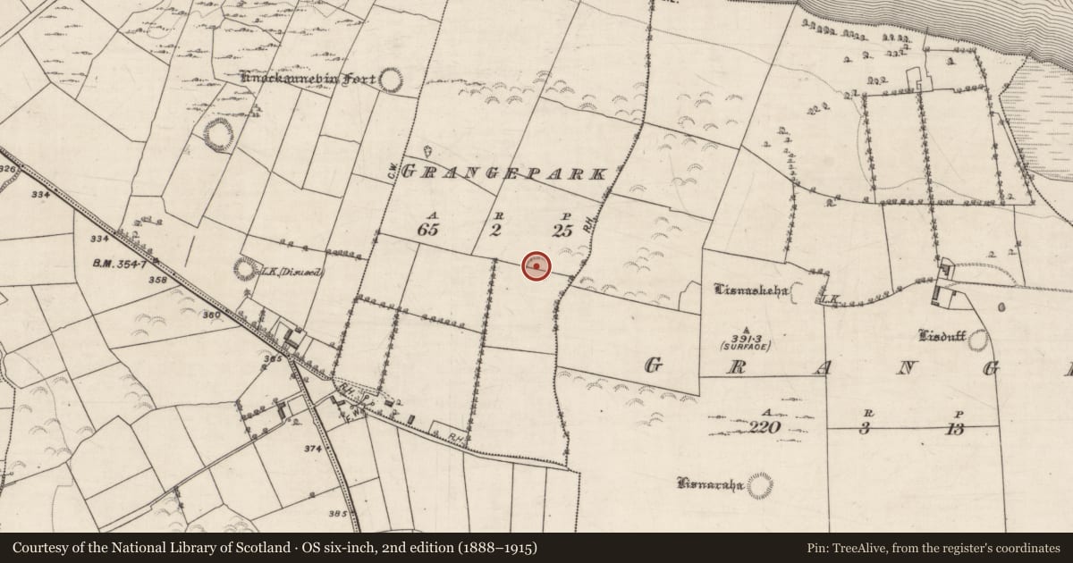 Ordnance Survey six-inch map, 2nd edition (1888–1915) covering the location of Ringfort - rath, Grangepark, County Galway, with a pin at the register's coordinates