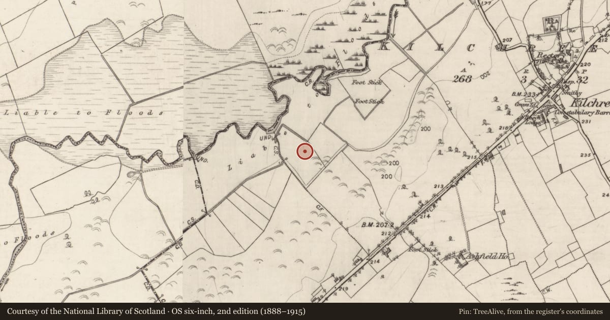 Ordnance Survey six-inch map, 2nd edition (1888–1915) covering the location of Industrial site, Kilchreest, County Galway, with a pin at the register's coordinates