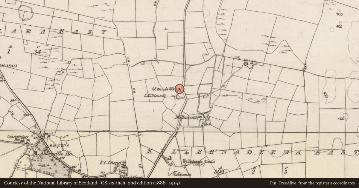 Ordnance Survey six-inch map, 2nd edition (1888–1915) covering the location of Bullaun stone, Killeenadeema East, County Galway, with a pin at the register's coordinates