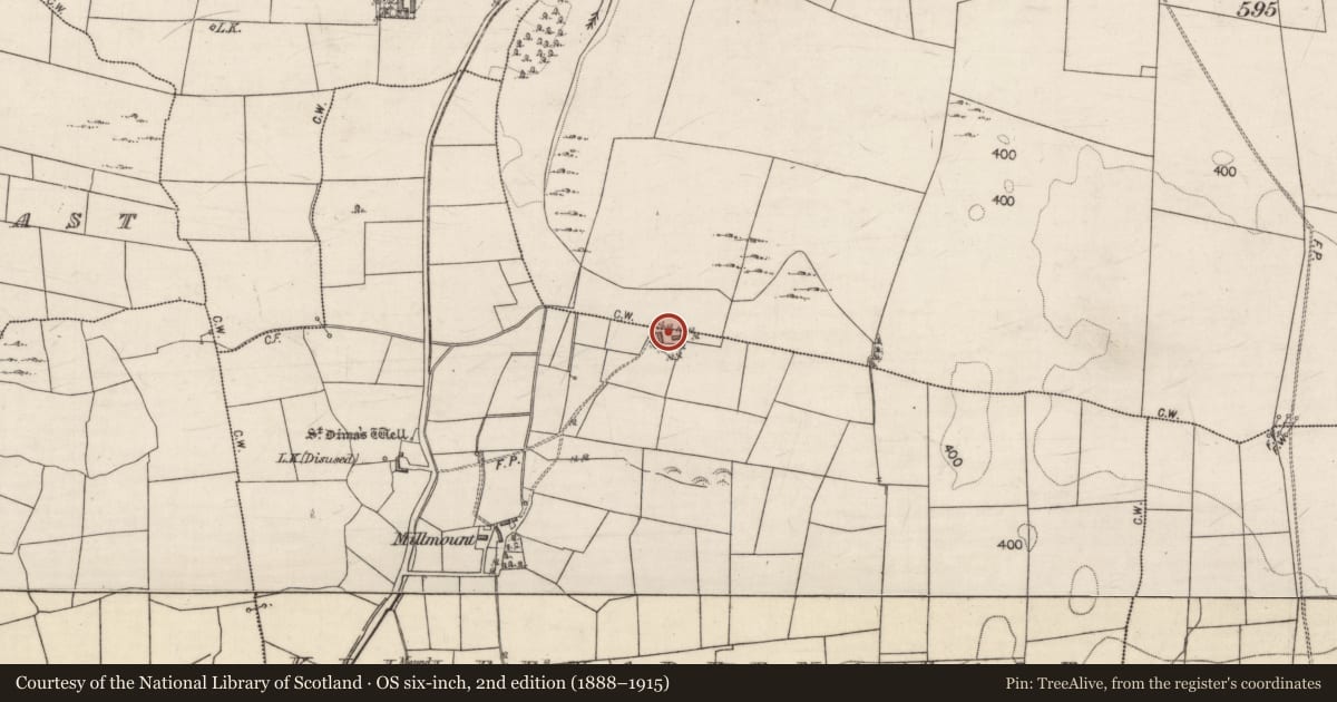 Ordnance Survey six-inch map, 2nd edition (1888–1915) covering the location of Water mill - horizontal-wheeled, Killeenadeema East, County Galway, with a pin at the register's coordinates