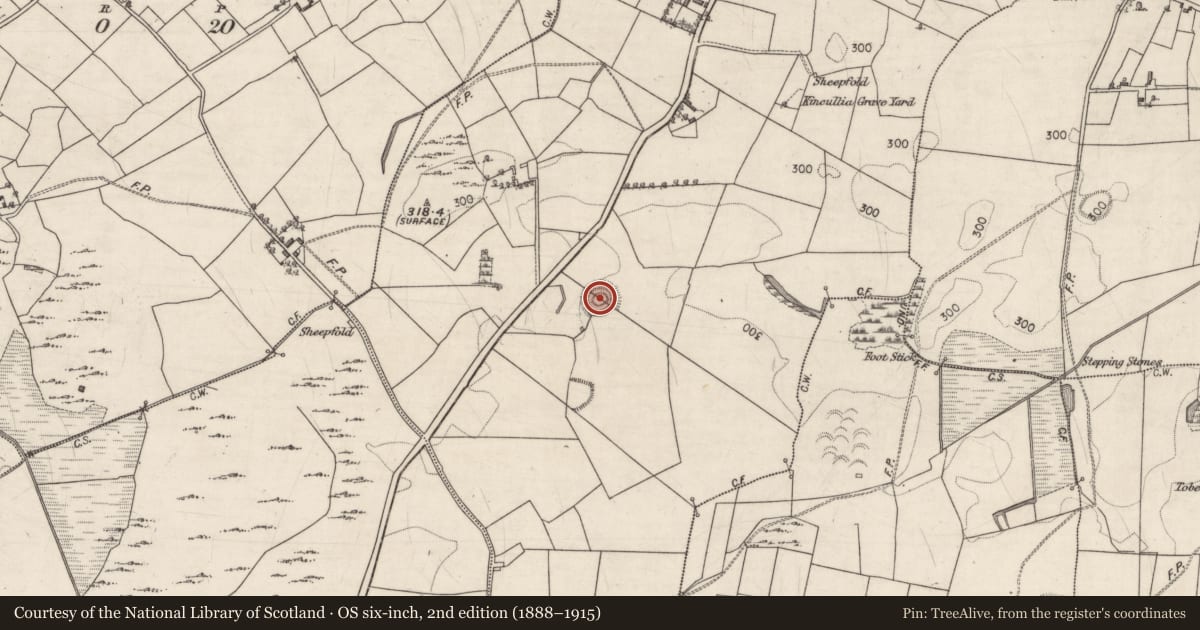 Ordnance Survey six-inch map, 2nd edition (1888–1915) covering the location of Earthwork, Kincullia, County Galway, with a pin at the register's coordinates