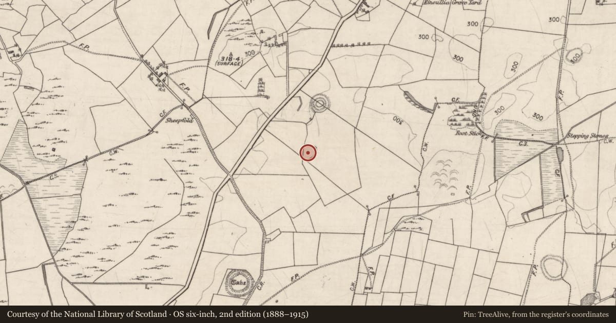 Ordnance Survey six-inch map, 2nd edition (1888–1915) covering the location of Souterrain, Kincullia, County Galway, with a pin at the register's coordinates