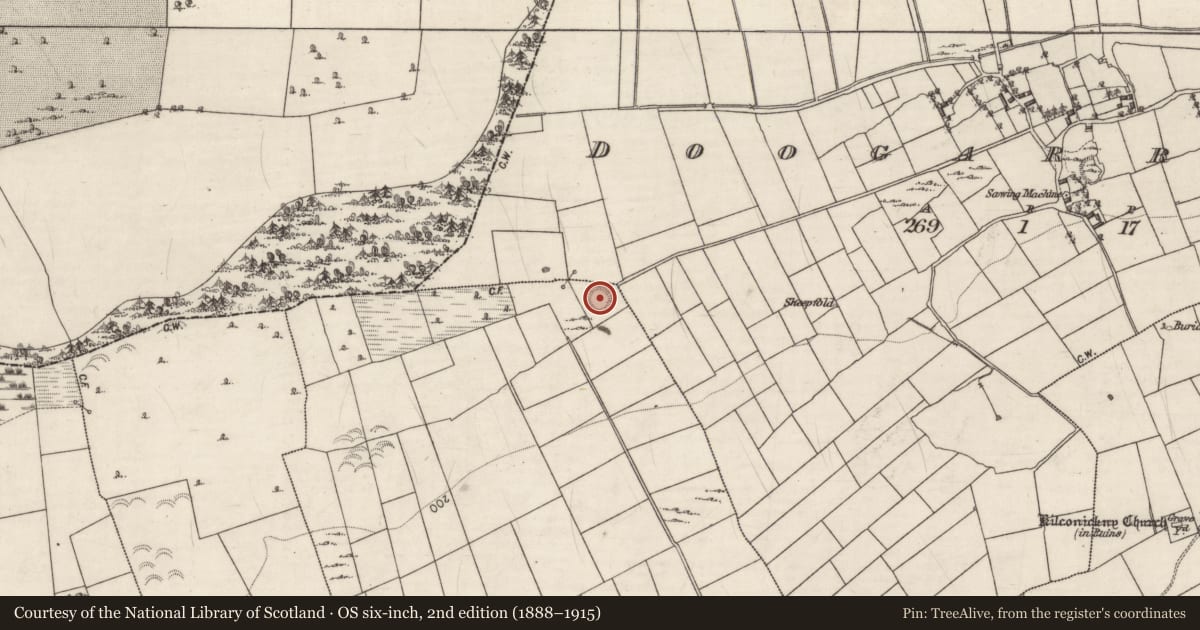 Ordnance Survey six-inch map, 2nd edition (1888–1915) covering the location of Ringfort - rath, Knockadaumore, County Galway, with a pin at the register's coordinates