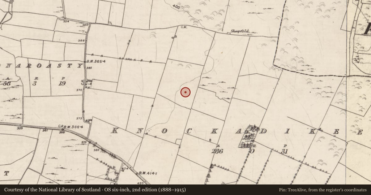 Ordnance Survey six-inch map, 2nd edition (1888–1915) covering the location of Souterrain, Knockadikeen, County Galway, with a pin at the register's coordinates