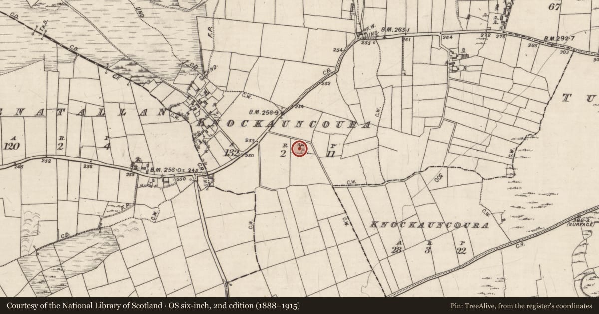 Ordnance Survey six-inch map, 2nd edition (1888–1915) covering the location of Quarry, Knockauncoura, County Galway, with a pin at the register's coordinates