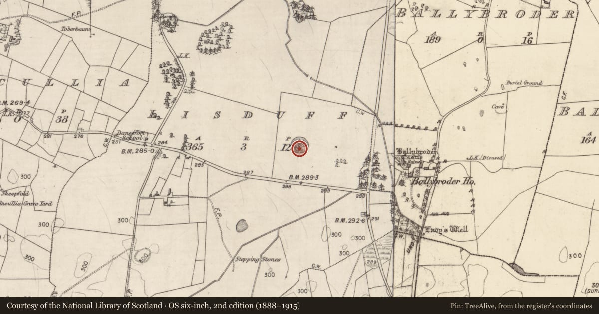 Ordnance Survey six-inch map, 2nd edition (1888–1915) covering the location of Ringfort - rath, Lisduff, County Galway, with a pin at the register's coordinates