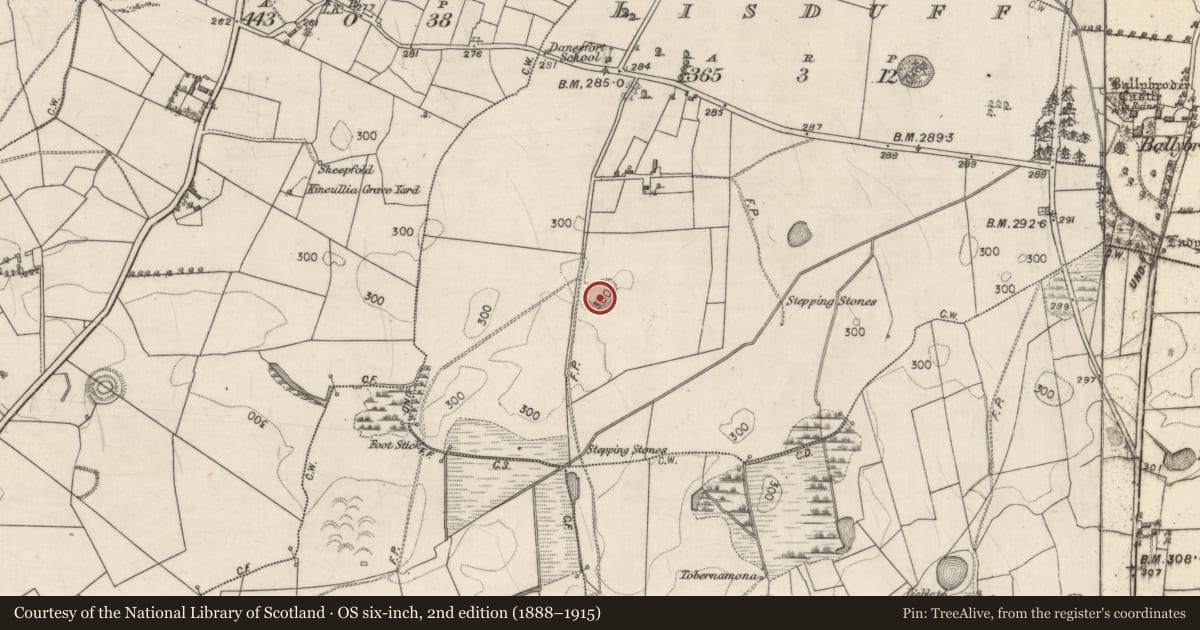 Ordnance Survey six-inch map, 2nd edition (1888–1915) covering the location of Souterrain, Lisduff, County Galway, with a pin at the register's coordinates