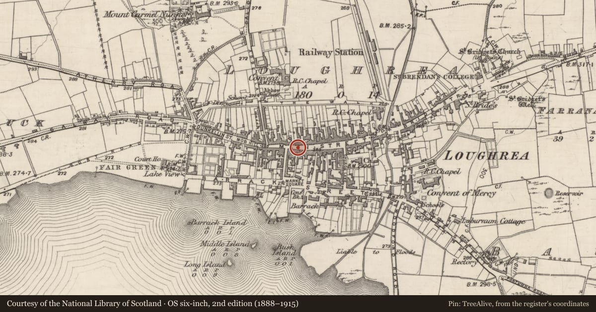Ordnance Survey six-inch map, 2nd edition (1888–1915) covering the location of Historic town, Loughrea, County Galway, with a pin at the register's coordinates