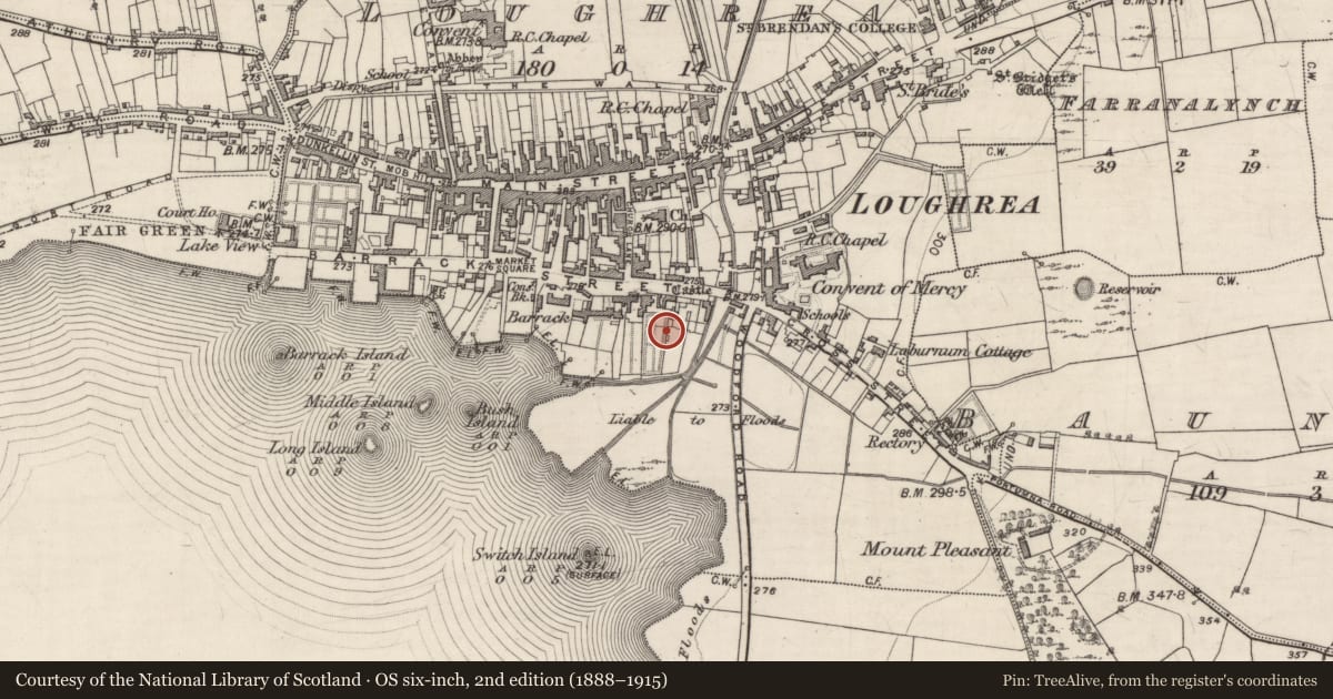 Ordnance Survey six-inch map, 2nd edition (1888–1915) covering the location of Cathedral, Loughrea, County Galway, with a pin at the register's coordinates