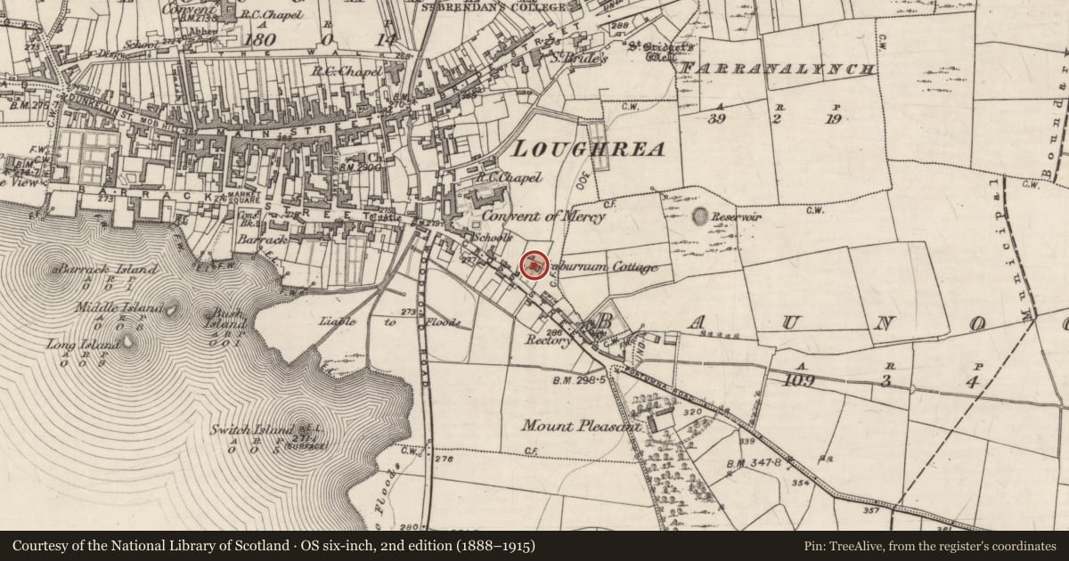 Ordnance Survey six-inch map, 2nd edition (1888–1915) covering the location of House - 18th/19th century, Loughrea, County Galway, with a pin at the register's coordinates