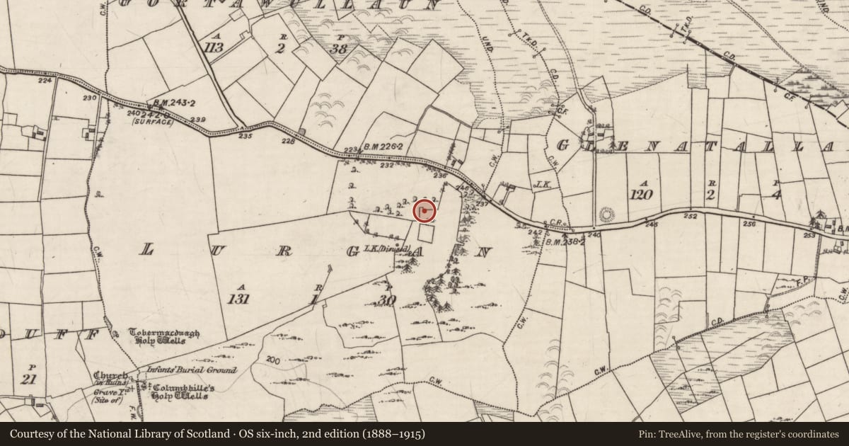 Ordnance Survey six-inch map, 2nd edition (1888–1915) covering the location of Country house, Lurgan, County Galway, with a pin at the register's coordinates
