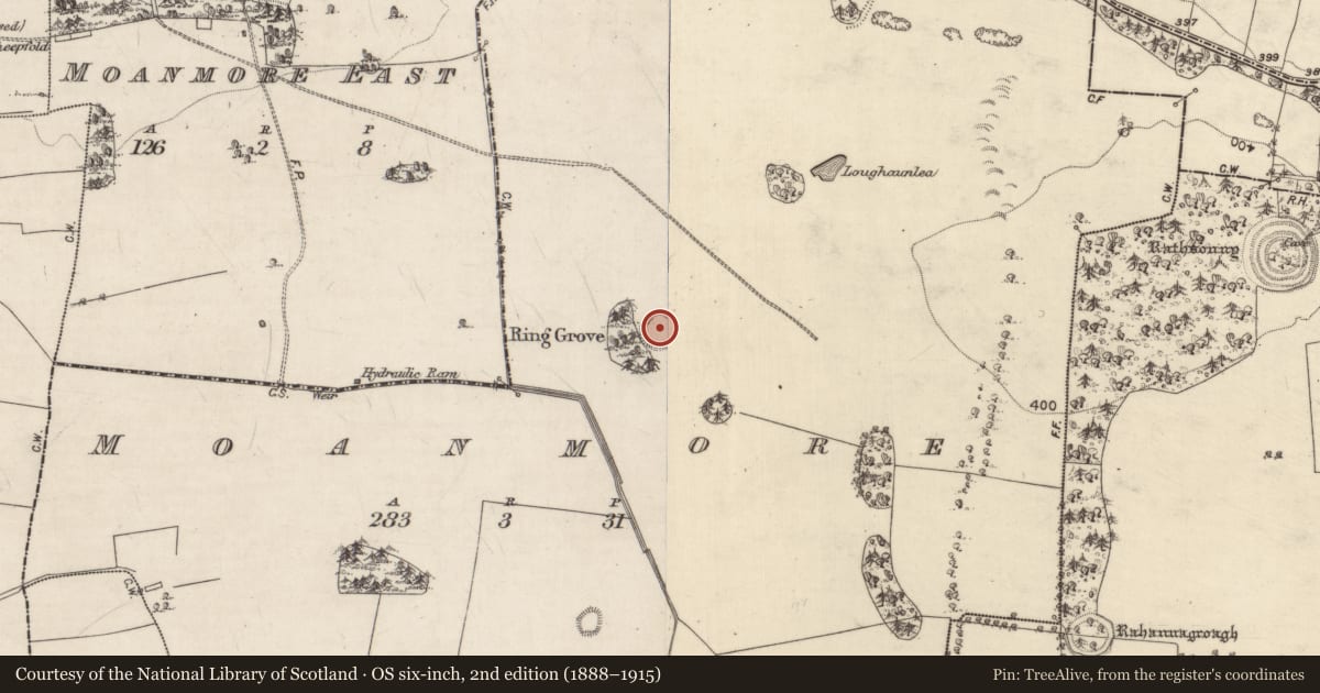Ordnance Survey six-inch map, 2nd edition (1888–1915) covering the location of Souterrain, Moanmore, County Galway, with a pin at the register's coordinates