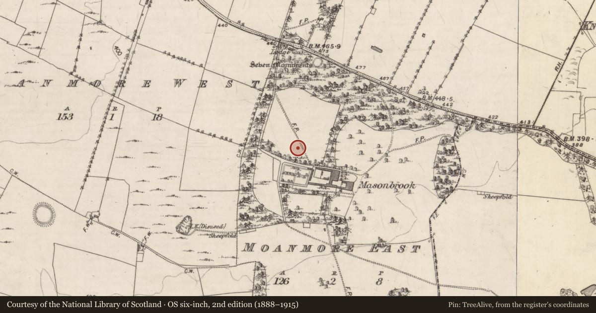 Ordnance Survey six-inch map, 2nd edition (1888–1915) covering the location of Megalithic structure, Moanmore East, County Galway, with a pin at the register's coordinates