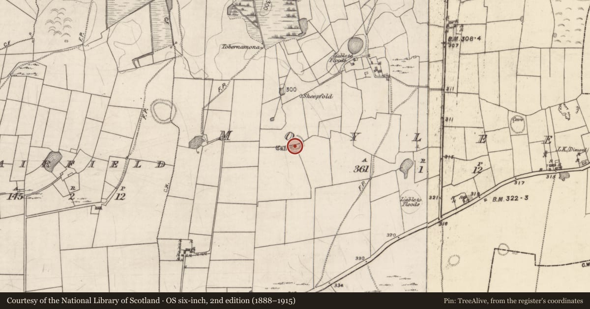 Ordnance Survey six-inch map, 2nd edition (1888–1915) covering the location of Souterrain, Moyleen, County Galway, with a pin at the register's coordinates