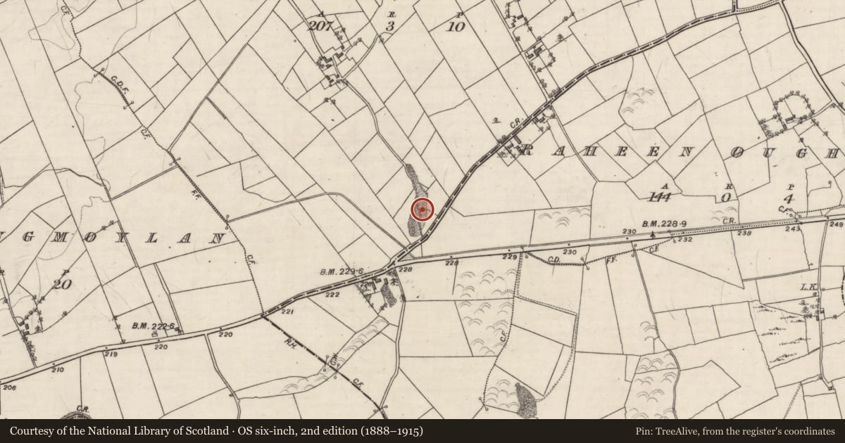Ordnance Survey six-inch map, 2nd edition (1888–1915) covering the location of Quarry, Raheen Eighter, County Galway, with a pin at the register's coordinates