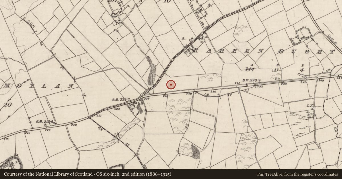 Ordnance Survey six-inch map, 2nd edition (1888–1915) covering the location of Fulacht fia, Raheen Oughter, County Galway, with a pin at the register's coordinates
