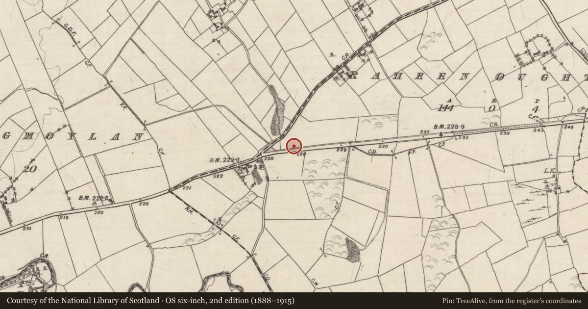 Ordnance Survey six-inch map, 2nd edition (1888–1915) covering the location of Fulacht fia, Raheen Oughter, County Galway, with a pin at the register's coordinates