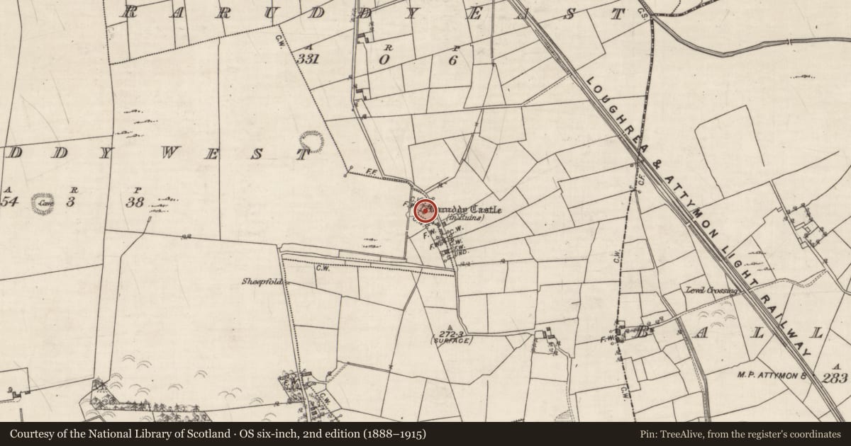 Ordnance Survey six-inch map, 2nd edition (1888–1915) covering the location of Castle - tower house, Raruddy East, Raruddy West, County Galway, with a pin at the register's coordinates