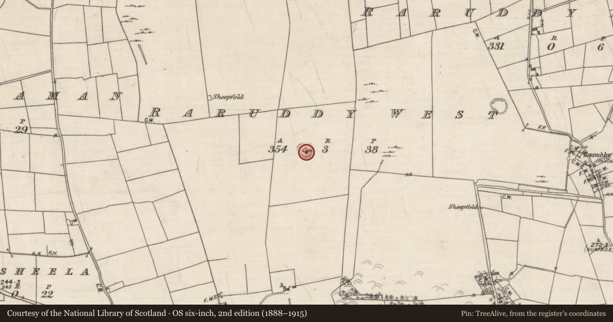 Ordnance Survey six-inch map, 2nd edition (1888–1915) covering the location of Souterrain, Raruddy West, County Galway, with a pin at the register's coordinates