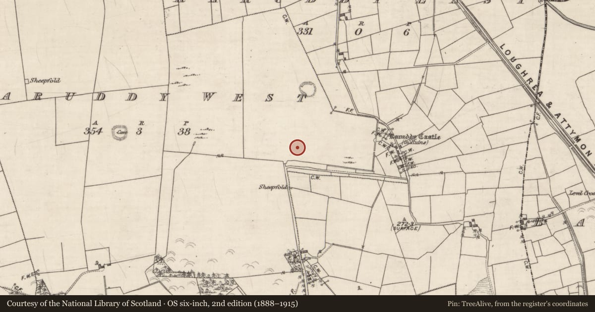 Ordnance Survey six-inch map, 2nd edition (1888–1915) covering the location of Moated site, Raruddy West, County Galway, with a pin at the register's coordinates
