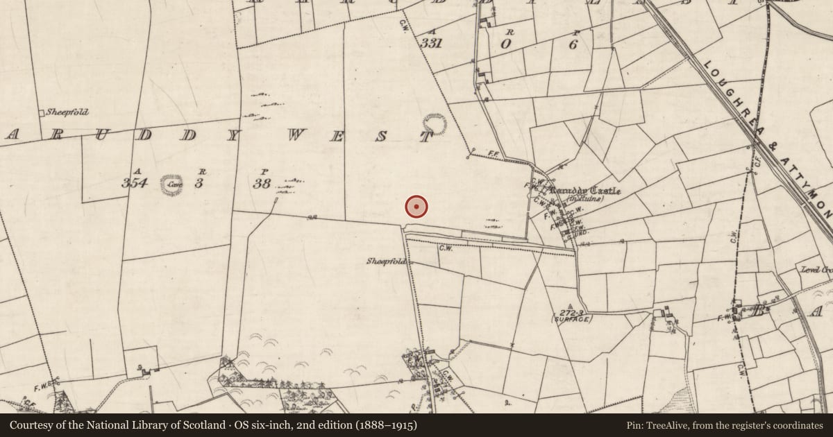 Ordnance Survey six-inch map, 2nd edition (1888–1915) covering the location of Structure, Raruddy West, County Galway, with a pin at the register's coordinates