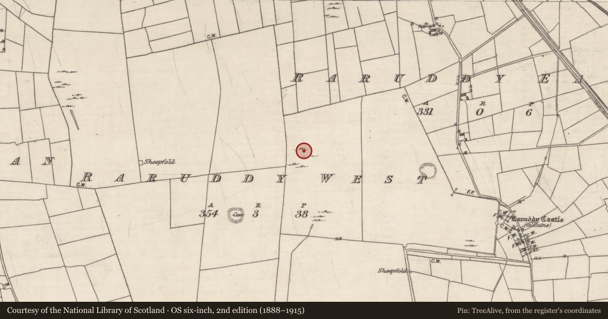 Ordnance Survey six-inch map, 2nd edition (1888–1915) covering the location of Ringfort - unclassified, Raruddy West, County Galway, with a pin at the register's coordinates