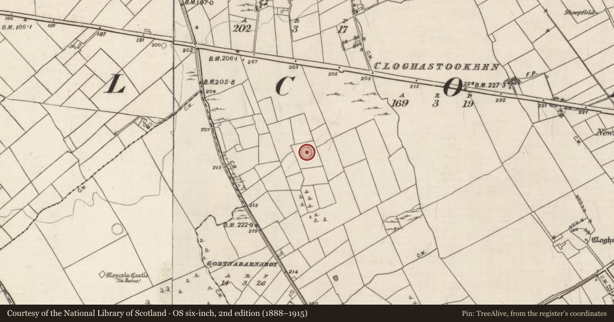 Ordnance Survey six-inch map, 2nd edition (1888–1915) covering the location of Ringfort - cashel, Srah, County Galway, with a pin at the register's coordinates