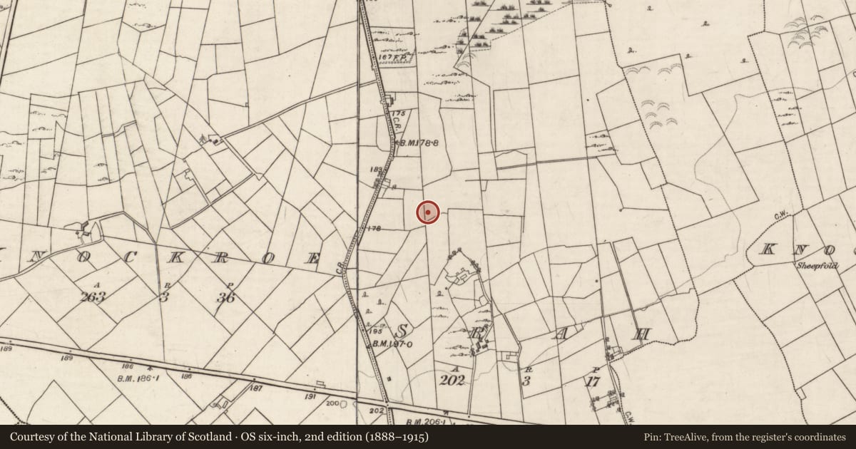 Ordnance Survey six-inch map, 2nd edition (1888–1915) covering the location of Fulacht fia, Srah, County Galway, with a pin at the register's coordinates