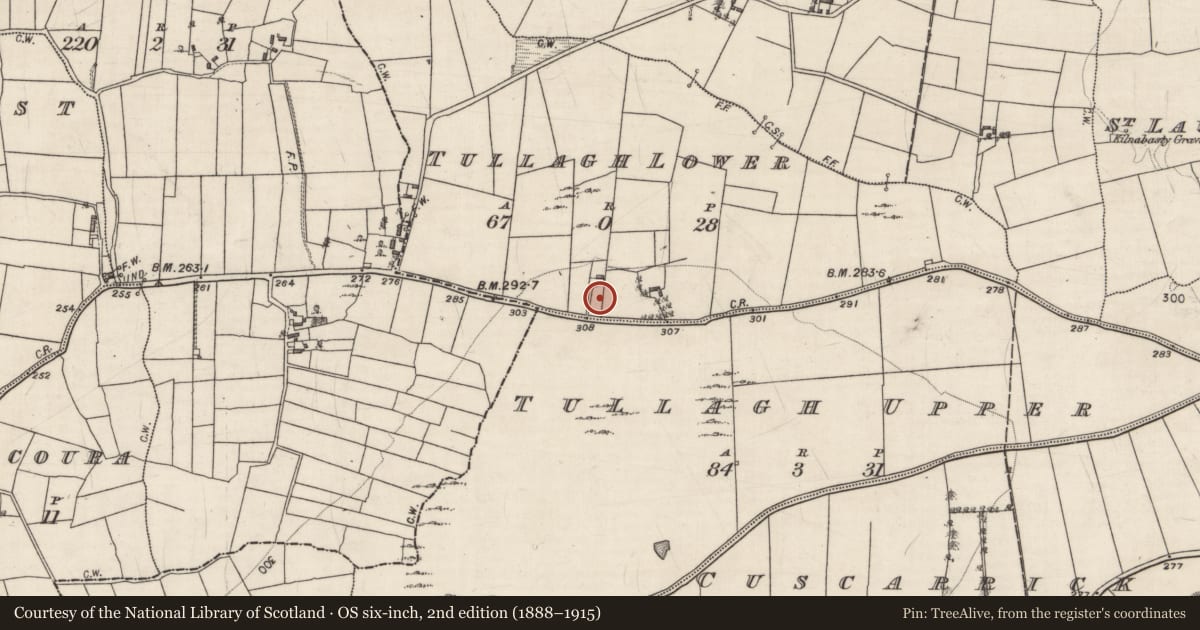 Ordnance Survey six-inch map, 2nd edition (1888–1915) covering the location of Souterrain, Tullagh Lower, County Galway, with a pin at the register's coordinates