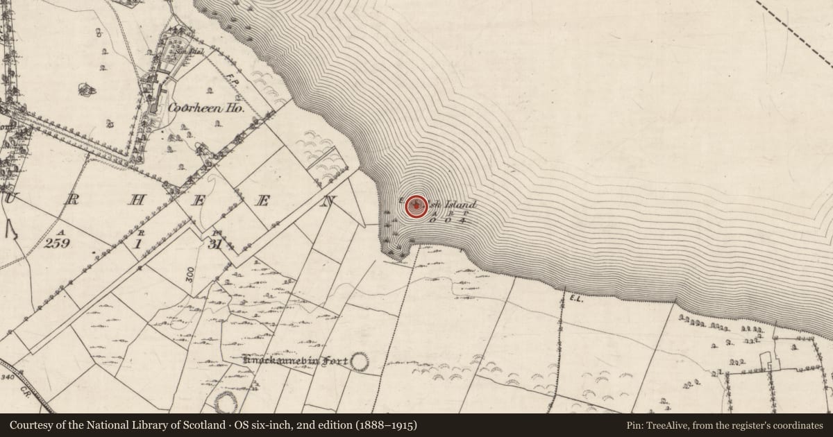 Ordnance Survey six-inch map, 2nd edition (1888–1915) covering the location of Crannog, Lough Rea, County Galway, with a pin at the register's coordinates