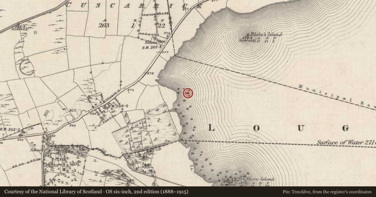 Ordnance Survey six-inch map, 2nd edition (1888–1915) covering the location of Crannog, Lough Rea, County Galway, with a pin at the register's coordinates