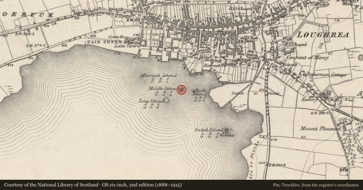 Ordnance Survey six-inch map, 2nd edition (1888–1915) covering the location of Crannog, Lough Rea, County Galway, with a pin at the register's coordinates