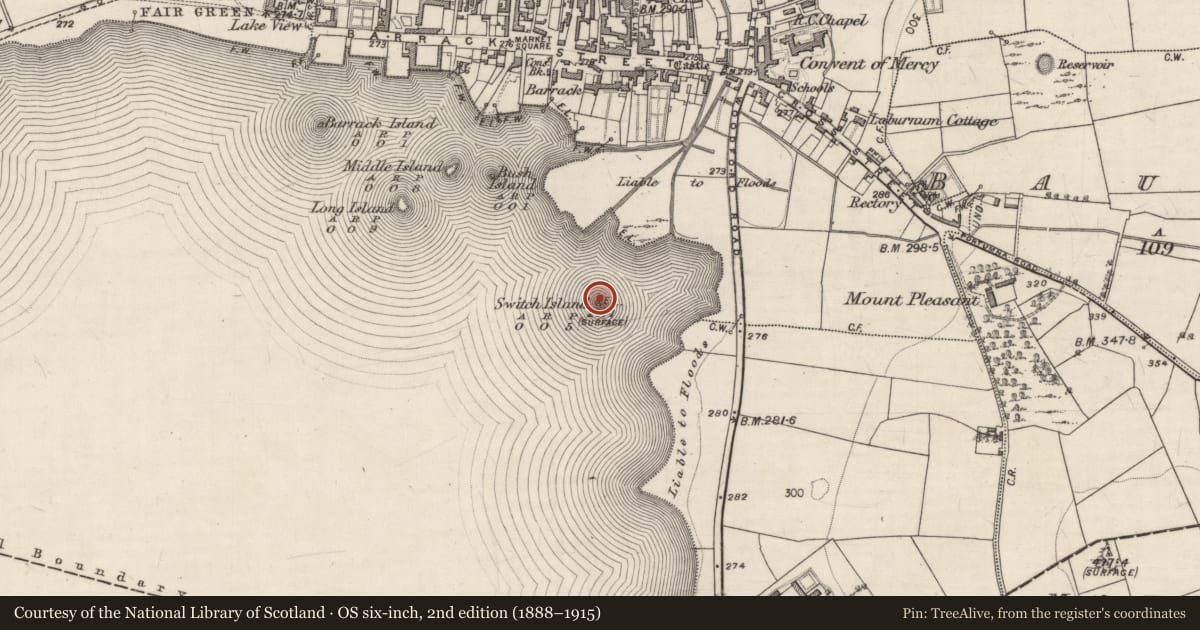 Ordnance Survey six-inch map, 2nd edition (1888–1915) covering the location of Crannog, Lough Rea, County Galway, with a pin at the register's coordinates