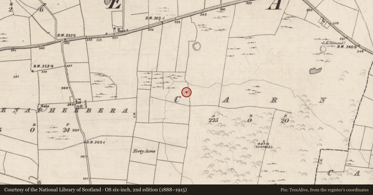 Ordnance Survey six-inch map, 2nd edition (1888–1915) covering the location of Field boundary, Carn, County Galway, with a pin at the register's coordinates