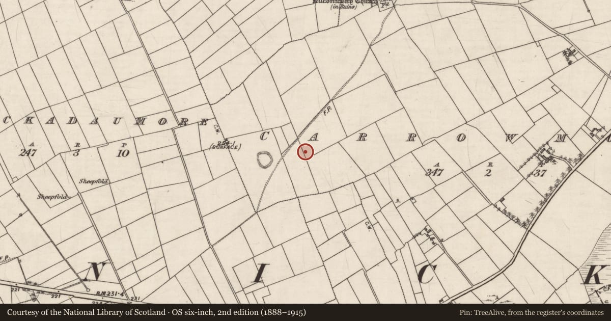Ordnance Survey six-inch map, 2nd edition (1888–1915) covering the location of Souterrain, Carrowmore (Kilconickny ED ), County Galway, with a pin at the register's coordinates